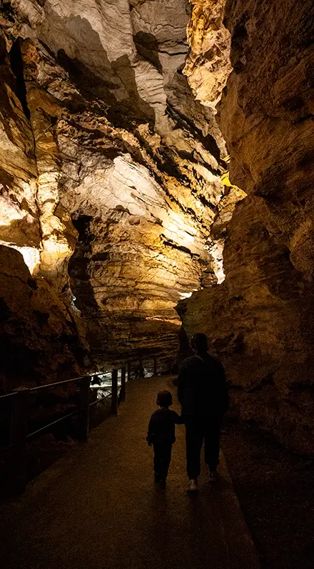 Grotte des Carbonnières 